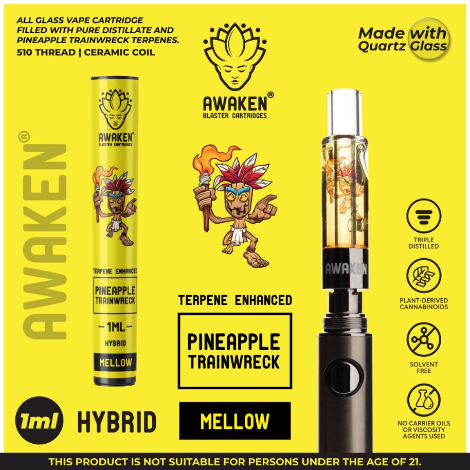 Awaken Blaster Cartridges | 1ml - Prostash -